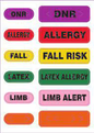 PS-LATEXALLERGY-GRE  Zebra  Suministros Panamá